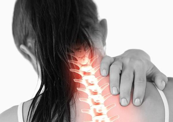 spine